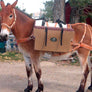PKB-2: Hard Sides Pannier Box Set